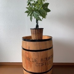 コーヒー豆樽風ゴミ箱【使い方は色々】※近くまで引き取り希望の画像