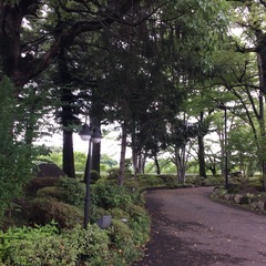 新規事業として揚げたて専門のテイクアウト店を始めます。一緒に一から店舗作りしませんか？（将来的に独立したい方も大歓迎）の画像