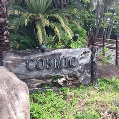 新規事業として揚げたて専門のテイクアウト店を始めます。一緒に一から店舗作りしませんか？（将来的に独立したい方も大歓迎）の画像