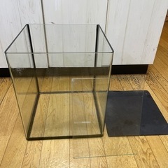 曲げガラスキューブ水槽