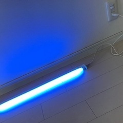 ブルー　ライト　間接照明
の画像