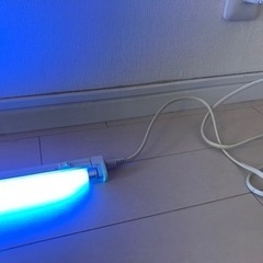 ブルー　ライト　間接照明
の画像