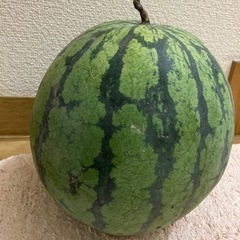 すいか　の画像