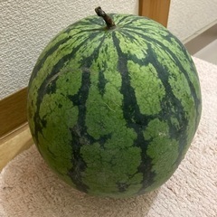 すいか　の画像