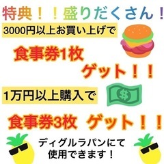 メダカ販売　メダカ掬いの画像