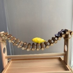 新作！ニームのつり橋がスタンドになりました - ペット