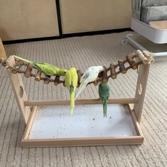 新作！ニームのつり橋がスタンドになりました − 栃木県