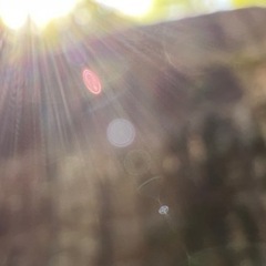 🌿ナチュラル思考な方🌱