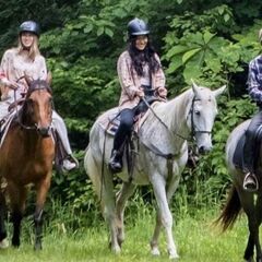 白馬乗馬トレッキング×婚活パーティー - 北安曇郡