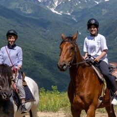 白馬乗馬トレッキング×婚活パーティー - パーティー