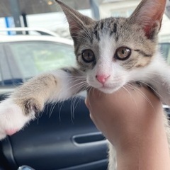 生後２ヶ月半　男の子