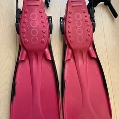 GULL COCO フィンの画像