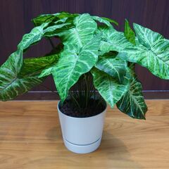 【バラ売りOK】観葉植物(フェイクグリーン)3点セット