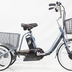 PELTECH 「ペルテック」 TDR-163L 2020年モデ...