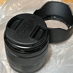 Panasonic LUMIX G  VARIO 35-100m...