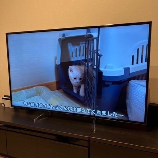 Panasonic 55型 商談中
