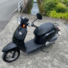 ホンダトゥデイAF61の画像