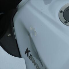 カワサキ　Z250　ニンジャ250　ネイキッド　ストリートファイター　ストファイの画像