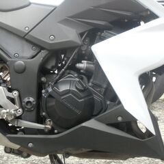 カワサキ　Z250　ニンジャ250　ネイキッド　ストリートファイター　ストファイの画像