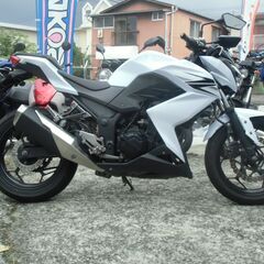 カワサキ　Z250　ニンジャ250　ネイキッド　ストリートファイター　ストファイの画像