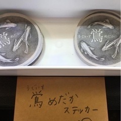第三回うぐいすメダカ即売会