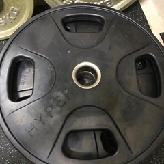 IVANKO HYPER  オリンピックプレート　φ50ミリの画像