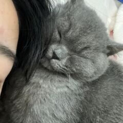 話をしましょう