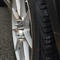 トンガリロングナットの画像