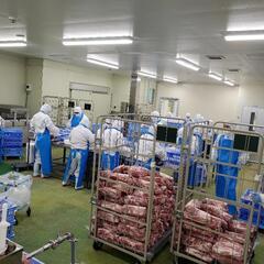 (未経験OK)食肉加工工場の品質管理責任者募集‼️の画像