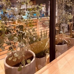 新規オープン　カフェ併設ワインショップの画像