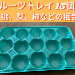 フルーツトレイ 15個用   1枚50円（在庫50枚）
