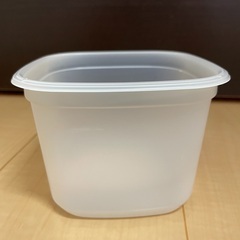 メダカ針子〜稚魚飼育セットの画像