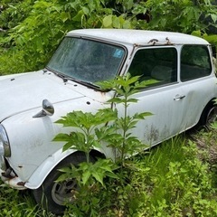 ミニクーパー旧車センターメーターの画像