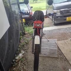 ホンダtlm50の画像