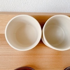 ソルト＆シュガーポットセット 300ml 陶器製の画像