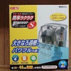 水槽と簡易フィルターの画像