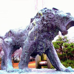 野球初心者でも内野とか捕手やりたい、という人を募集します！
