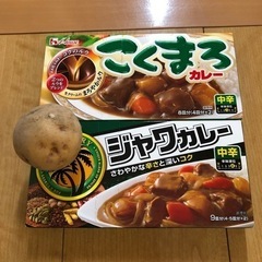 ジャガイモ5キロとカレールー