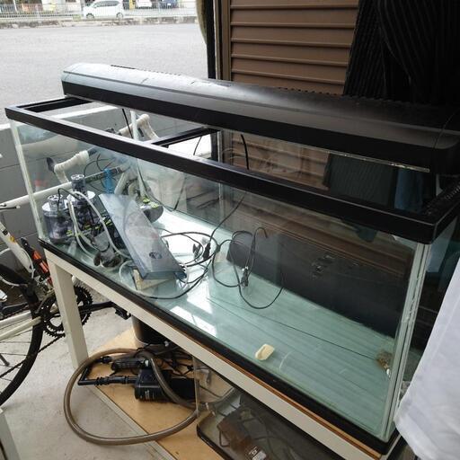 120cm水槽と水槽台　引き取り限定です。