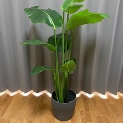 【セット販売】トラベラーズパーム　観葉植物　フェイクグリーン