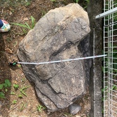 【無料】 庭石 お譲りします 【 ロックガーデン 枯山水 】などに の画像