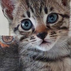 お陰様でゆずくんに家族が出来ました‼️