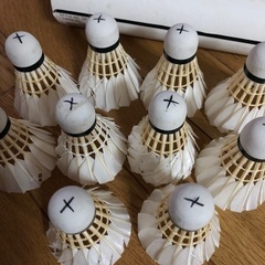 バドミントン練習用シャトルの画像