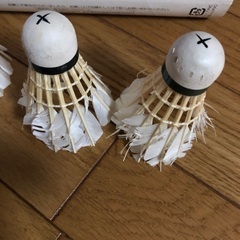 バドミントン練習用シャトルの画像