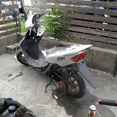 ライブDio.zxの画像