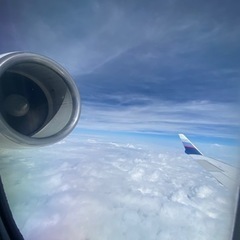 ※閲覧禁止※  航空業界人は絶対に見ないでください‼︎の画像