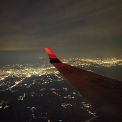 ※閲覧禁止※  航空業界人は絶対に見ないでください‼︎の画像