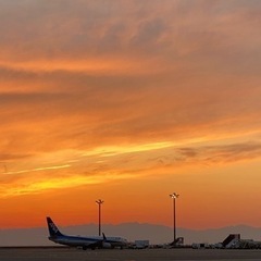 ※閲覧禁止※  航空業界人は絶対に見ないでください‼︎の画像