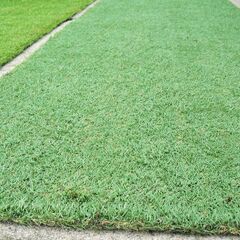 ◆【リアル人工芝】◆【人工芝メーカー品のＵＳＥＤ商品】の画像