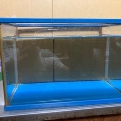 中古「水槽」要りませんか？